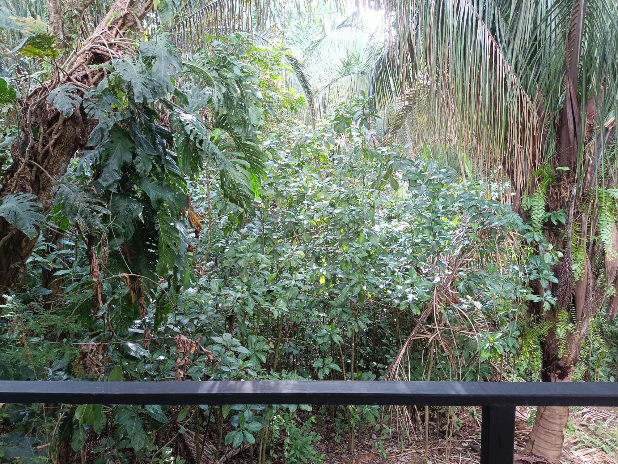 Selva Linda Lodge Vacation Rentals Quepos Exterior photo